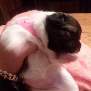 Meet your Posher, Hailey